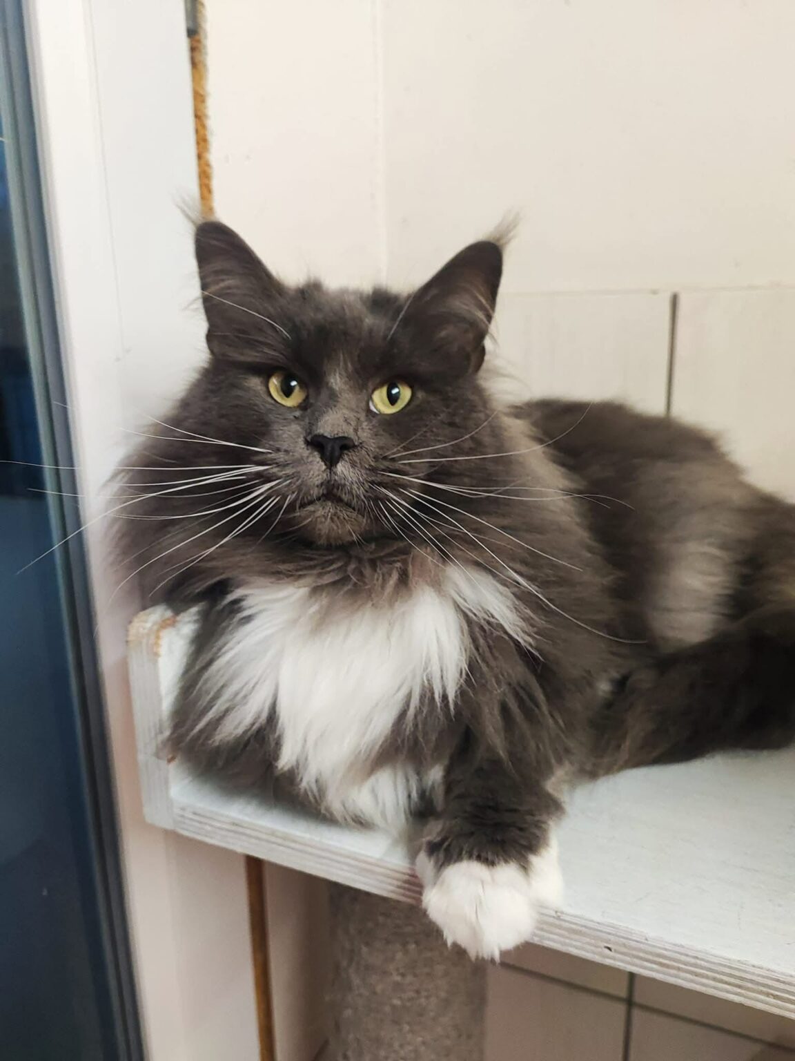 14e20050-4c04-4f2f-be6a-74d66cd7a88f