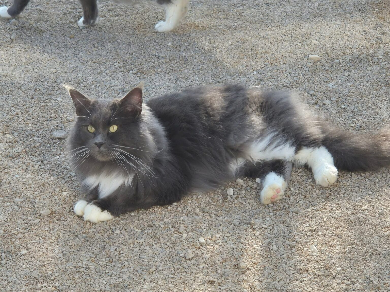 2824d04c-200a-4794-9087-f81236e8ae2e