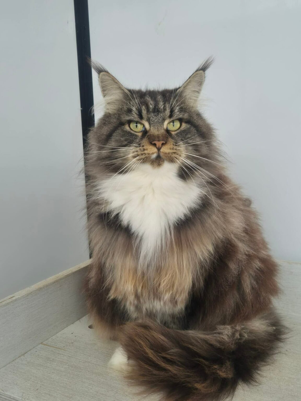 4fb5792b-7dce-4c62-b455-7849170dd85b