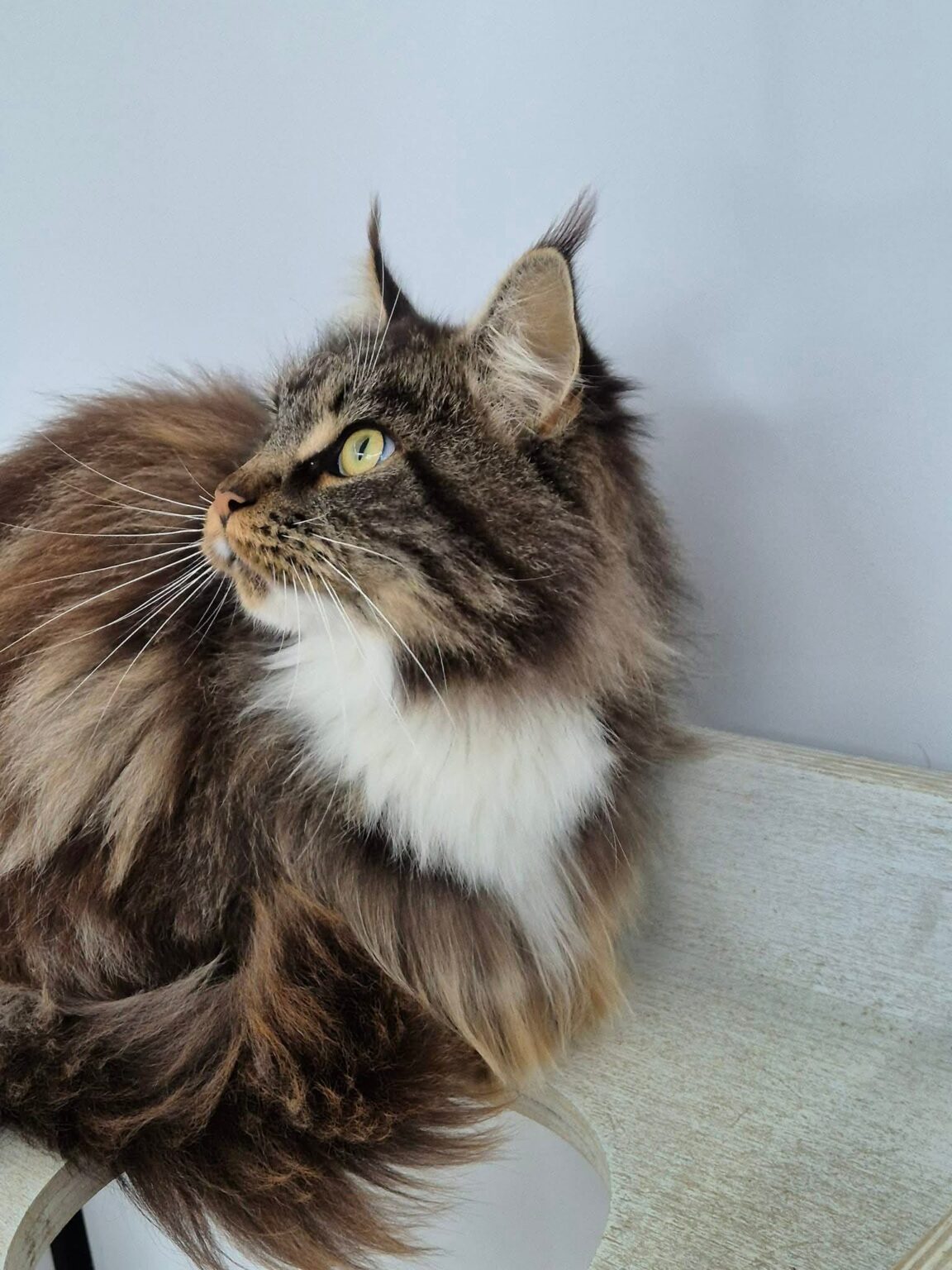 db673bee-8b91-4e45-ad83-bf4ef5d6932e